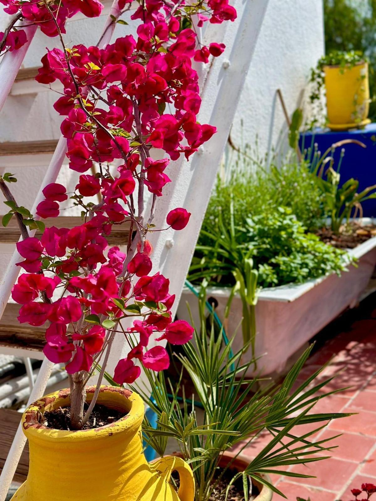 Nomads Hostel Tunisia Exterior foto